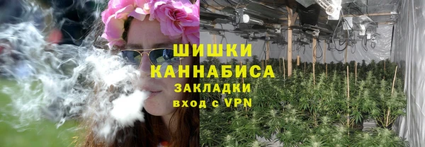 прущие грибы Мегион