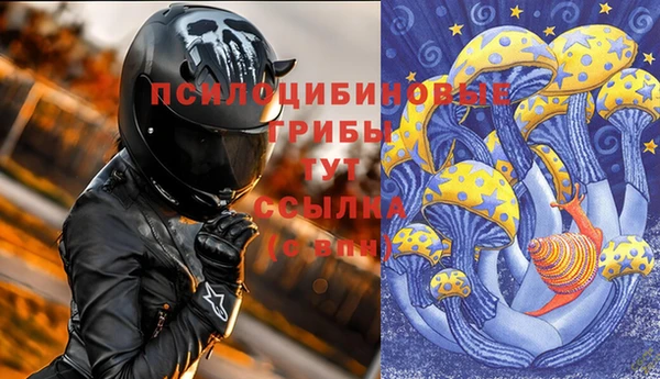 прущие грибы Мегион