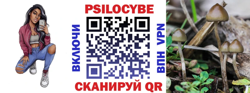 Галлюциногенные грибы ЛСД  Цимлянск 